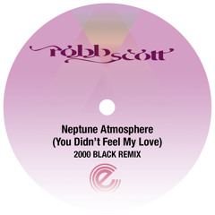 Neptune Atmosphere (You Didn't Feel My Love) (2000 Black Remix) [feat. Gina Foster]