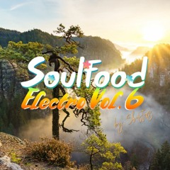 Soulfood Electro Vol. 6