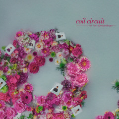 coil circuit - Not Fair [Premiere]