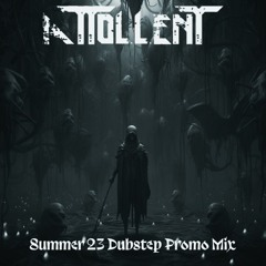 Dubstep Summer 23 Promo Mix (Complete)