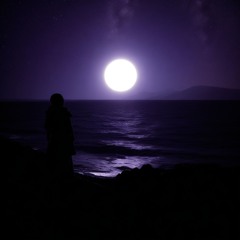 ByErik ヵ, ZALU - Endless Nights