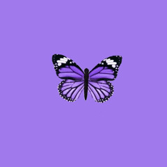 flo milli- beef flomix (slowed n reverb)