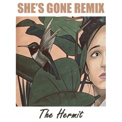 She's Gone (remix)