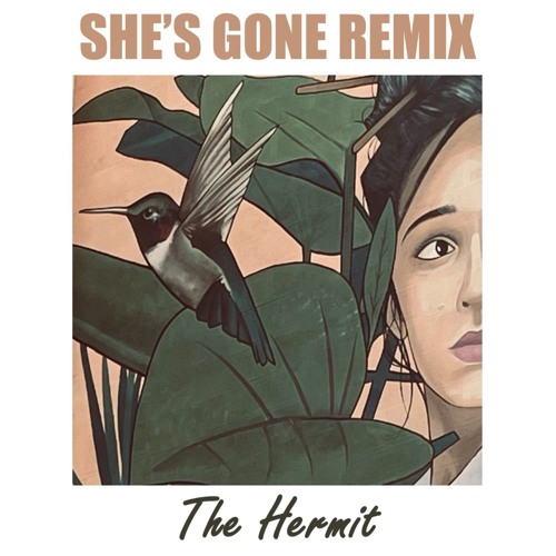 She's Gone (remix)