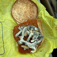 путаны в мехах (rare)