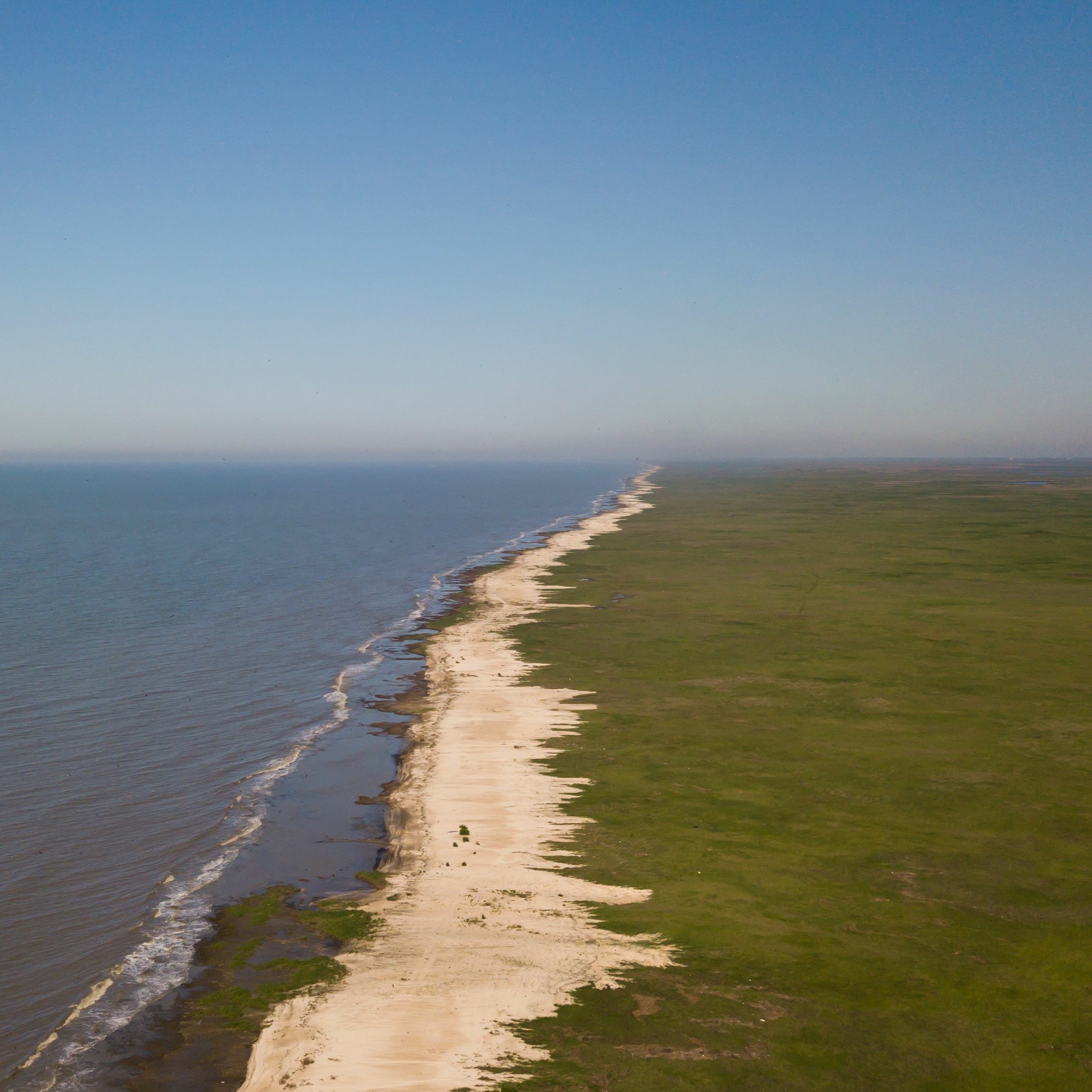 Voices of a Flyway