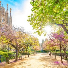 "A Study of Percussive Colors”