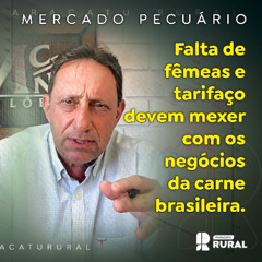 Mercado do boi: falta de fêmeas e tarifaço devem mexer com os negócios.