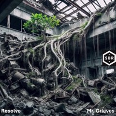 Resolve