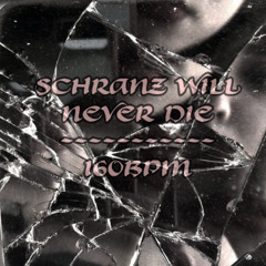 SCHRANZ WILL NEVER DIE! - [160+ BPM - SCHRANZ / HARDTECHNO SET]