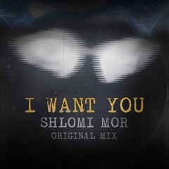 Shlomi Mor -I Want You - Original mix