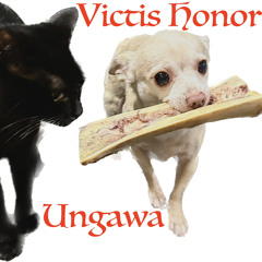 Ungawa