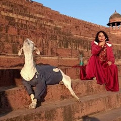 Spaced Out (but very spaced out)