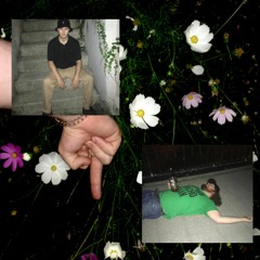 Chemicals & Decibles