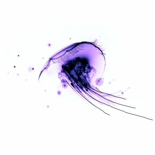 Pendulum - Set Me On Fire (LÄUFF Hard Edit)