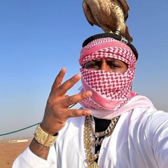 VEM ROÇA A XOTA NO BICO - MC POGBA & MC RENATINHO FALCAO ( DJWT7 )