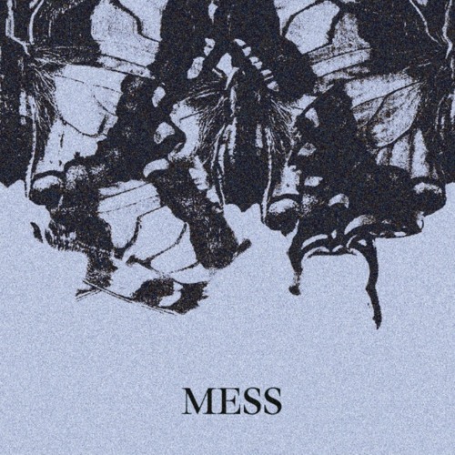 Mess (prod. by bavense & AVA ADÉ)