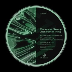 PREMIERE: Terence Terry - Just A Small Thing (Politics Of Dancing & Djebali Remix) [CGR006]