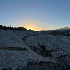 New Day Rising-Sara Stutz