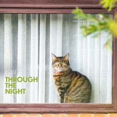 Through The Night