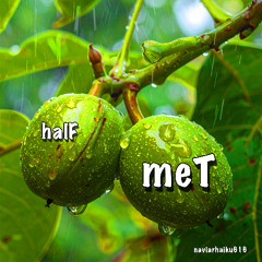 halF meT [naviarhaiku616]