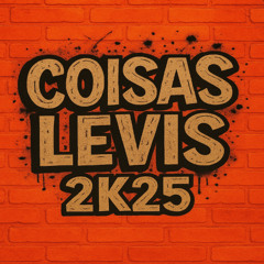 MTG - COISAS LEVIS 2K25 {{DJ RL DO YOUTUBE &  DJ JUNIM DA 10}}@djrldoyoutube