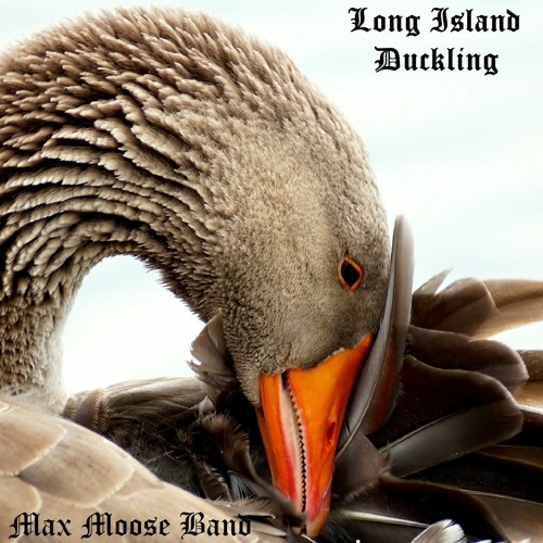 Long Island Duckling