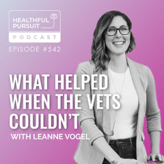 What Helped When the Vets Couldn’t