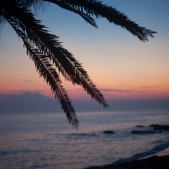 Balearic mood vol.1 (2024 Summer)