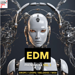 EDM Phenomena Vol.1 Preview