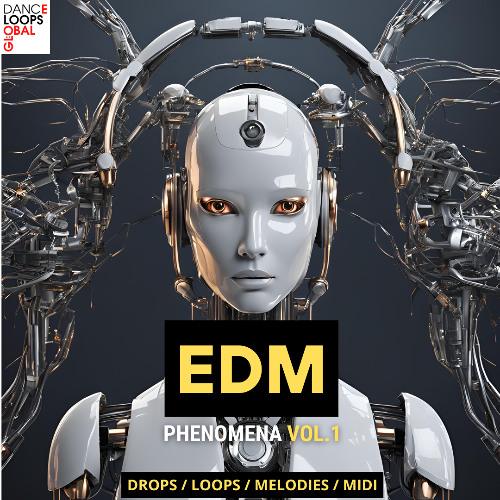 EDM Phenomena Vol.1 Preview