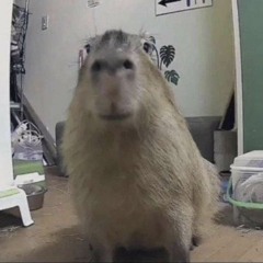 sparks but it’s sped up