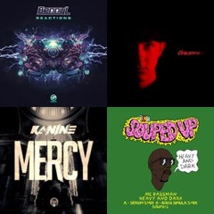 DNB2