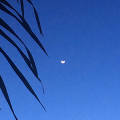 Canto de minh'alma (Lourenço, Jasmine, Kian, Lavinia)