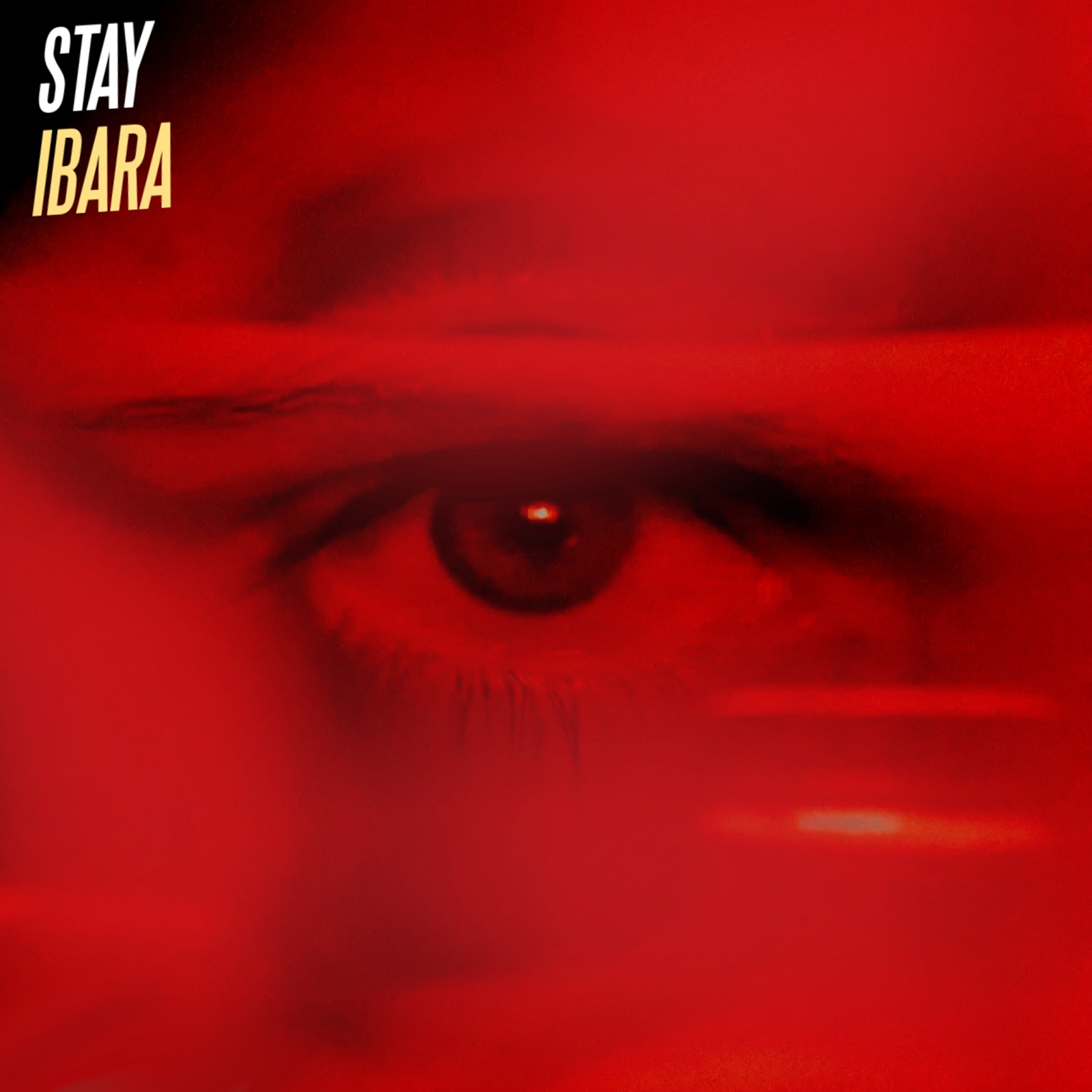 Stay ( Never Leave You ) – IBARA REMIX   AFRO HOUSE