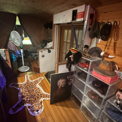 CLOUD SURFING ON THE MAGIC BUS