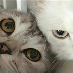 EP Mùa Luyến Lưu