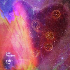 Quiet Life