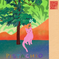Homephone - Pistachio