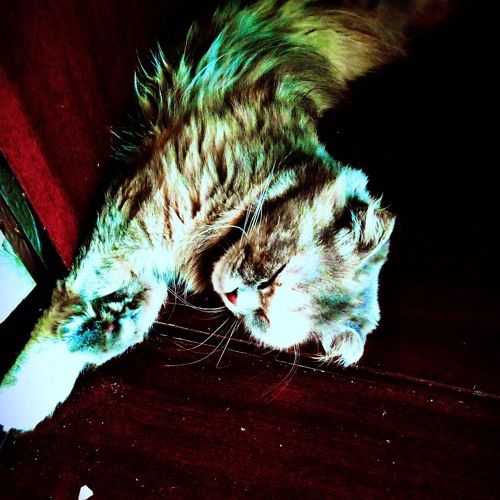 Casper / whyalive. erdo