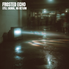FROSTED ECHO - STILL SIGNAL, NO RETURN
