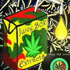 Fruit Punch! -- V1