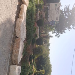 ashrei