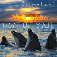 Halal U YAH