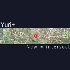 New=intersect⛩新交差
