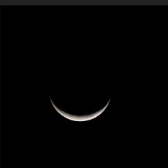 New Moon - Rosh Chodesh Song