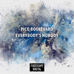 Pico Boulevard — Everybody's Nobody