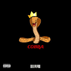 COBRA FREESTYLE