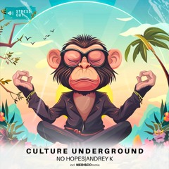 No Hopes, Andrey K - Culture Underground (Original Mix) [Stress Out]