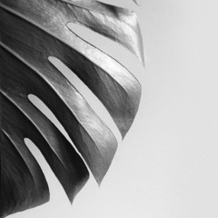 I will never forget you